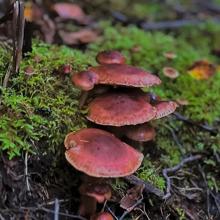 Villa Private Archipelago With Large *