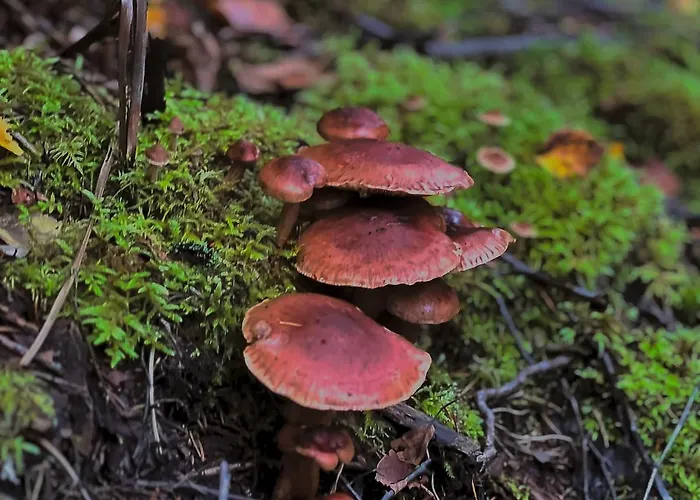 Villa Private Archipelago With Large *