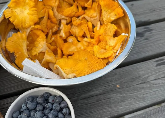 Private Archipelago With Large Βίλα *