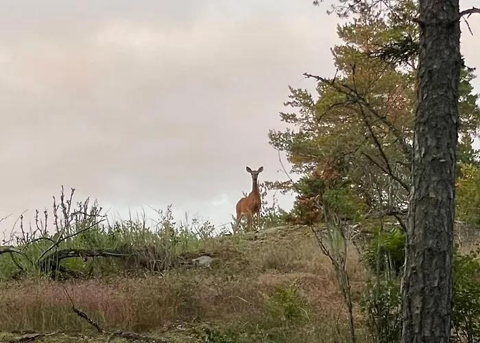 Villa Private Archipelago With Large Pargas